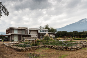 NBA盖帽榜冷知识！你知道吗有些球员的盖帽比他们的得分还多！